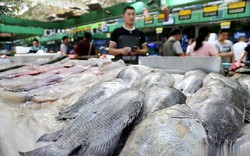 Ra chợ gặp 5 loại cá này, tươi ngon, rẻ mấy cũng đừng mua