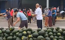 VIDEO: Người dân xếp hàng thu gom, “giải cứu” dưa hấu khi xe tải gặp nạn