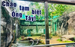 Xúc động lễ chia tay "ông" hổ Tây ở Thảo Cầm Viên Sài Gòn