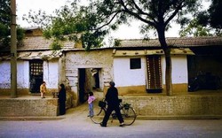 Năm 1972, anh em tôi tới nhà chú để vay 20kg gạo, khi mở chiếc túi ra, mẹ tôi đã rất sốc