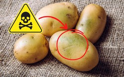 4 loại rau củ đầy độc tố, đã không bổ béo còn phá nội tạng, “cấu kết” với tế bào ung thư nhưng nhà nào cũng có