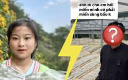 Chuyện gì đang xảy ra với miến dong Sùng Bầu?