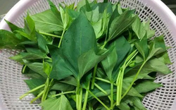 5 loại rau "không bao giờ bị phun thuốc trừ sâu" đang vào mùa, bổ dưỡng như nhân sâm, nhất là cái số 3