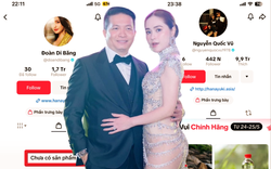 Động thái của vợ chồng Đoàn Di Băng sau khi công ty bị tạm dừng hoạt động