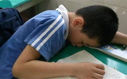 Cô giáo mỉa mai học sinh "đội sổ" trong buổi họp phụ huynh, người mẹ đáp gọn một câu khiến cả phòng chết lặng vì xấu hổ
