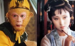 Fan ghép Tôn Ngộ Không yêu Lâm Đại Ngọc: Sáng tạo hay phá nguyên tác