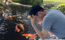 Cho hàng xóm gửi nhờ cá cảnh, 3 ngày sau cả đàn cá quý trị giá 930 triệu đồng lăn ra chết, người đàn ông khởi kiện, tòa tuyên bố: Lỗi tại người gửi
