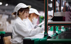 Phó chủ tịch Apple: “Việt Nam là nơi có nguồn nhân lực rất đam mê, sáng tạo và khao khát học hỏi”