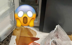 Mẹ vợ phát hiện chất lỏng màu đỏ rỉ ra từ tủ lạnh, mùi hôi thối kỳ lạ khi đến thăm con gái: "Tôi hét toáng, vội gọi cho con rể"