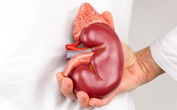 Suy thận ngày càng xuất hiện nhiều ở người trẻ: BS chỉ rõ thủ phạm hàng đầu gây bệnh
