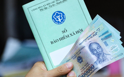 Chủ hộ kinh doanh sẽ đóng BHXH bắt buộc mức cao nhất gần 12 triệu đồng ngay trong tháng sau