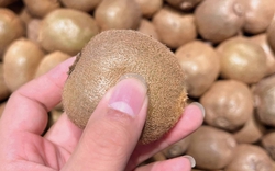 Loại quả bé xíu mệnh danh là "siêu trái cây", giàu vitamin C hơn cam, ra chợ là thấy