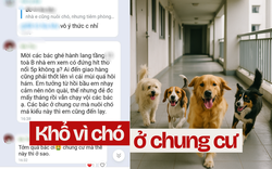Khốn khổ vì hàng xóm yêu thú cưng "nửa mùa": Chất nặng mùi khiến cả chung cư khó thở nhưng tuyệt nhiên không ai nhận!