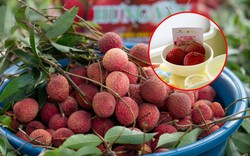 Vải trứng Hưng Yên được mang bán trên trời!