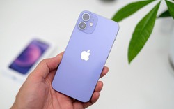 Một màu sắc sang chảnh của iPhone sẽ được Apple "hồi sinh" trên iPhone 17?