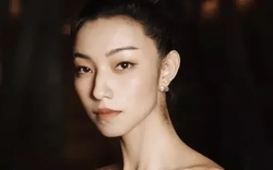 Nữ diễn viên khiến Ngô Kinh và Lý Liên Kiệt điêu đứng