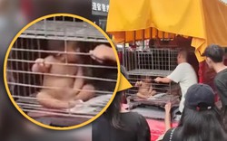 Sốc trước cảnh ông bố nhốt con trai nhỏ trong lồng sắt giữa phố