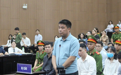 Chủ tịch Tập đoàn Phúc Sơn bị đề nghị 30 năm tù cho 3 tội danh