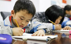 Bài văn tả chiếc tủ khiến dân tình cười té ghế, lùng ngay danh tính bác thợ mộc