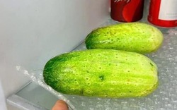 Túi bóng chống sốc có 4 bí mật, tôi tiếc đứt ruột gan vì vứt chúng đi