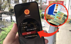 Ai chưa cập nhật CCCD vào mã số thuế trước 1/7, sẽ gặp khó khăn gì?