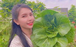 Nghỉ việc văn phòng, người phụ nữ tự gây dựng vườn cây 100m2: Sau 5 năm, không hối hận