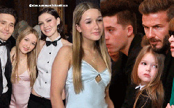 Harper Seven Beckham: Tiểu thư út được cưng chi...