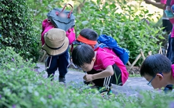 20 trại sinh bị tiêu chảy và sốt cao: Phía trại hè tiêu chuẩn Mỹ có phản hồi gây chú ý