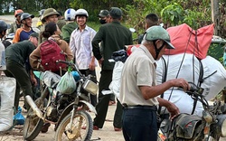 Cả ngàn người ở Đà Nẵng vào rừng nhặt thứ hạt rơi từ trên trời xuống, thu tiền triệu