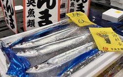 Cùng một tên gọi, ở Việt Nam chỉ bán vài trăm nghìn, Nhật Bản bán hơn 50 triệu/kg: Tại sao lại đắt như vậy?