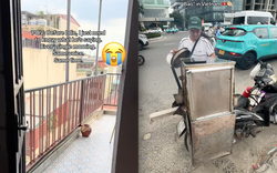 Âm thanh "bí ẩn" ở Việt Nam khiến khách Tây quyết tâm phải tìm ra manh mối trước khi "về với tổ tiên"