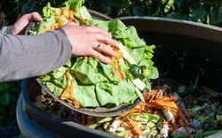Chôn 2 thứ "rác" này vào chậu cây: Hoa tuôn nở như suối, ra quả tưng bừng ngọt lịm