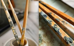 5 thứ không nên có mặt trong nhà bếp, số 1 bác sĩ bảo VỨT NGAY