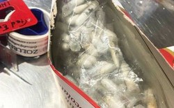 Mở hộp bánh tại sân bay, phát hiện cảnh tượng nổi da gà