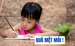 Đọc đề xuất của phụ huynh gửi đến Bộ giáo dục mà tôi quá ngán ngẩm: Cứ làm "náo loạn" mãi, các anh chị không mệt mỏi sao?
