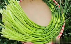 5 loại rau quả mùa hè nên tránh, ngay cả người bán cũng lắc đầu từ chối