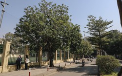Có một ngôi trường, nếu đủ duyên và nỗ lực, bạn có thể gắn bó từ lớp 6 đến... tiến sĩ: Nghe khó tin nhưng có thật!