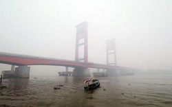 Trái đất xuất hiện những mùa mới