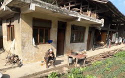 "Sống thế này nhục nhã quá": Đi 5.000km về quê, tới nhà thấy cảnh mẹ làm trong phòng ngủ, tôi bắt xe trở ngược lại thành phố