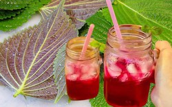 Loại lá trong vườn có tác dụng trị nám, làm sáng da nhanh chóng: Mùa hè có thể dùng để uống hoặc đắp mặt nạ
