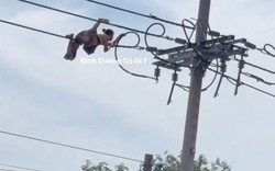 Người phụ nữ bò trên đường dây diện khiến cả phố hoảng sợ: Tình trạng sức khỏe sau khi bị ngã xuống