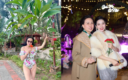 Phượng Chanel vừa "thả dáng" với đồ bơi, Lệ Quyên đã ngay lập tức để lại bình luận