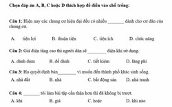Làm đề thi tiếng Việt cho người nước ngoài, dân bản xứ tự hoài nghi khả năng dùng tiếng mẹ đẻ của mình