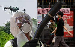 Toàn cảnh dịch sốt Chikungunya lan nhanh trên toàn thế giới: 240.000 ca mắc, 90 người tử vong; WHO ban hành cảnh báo