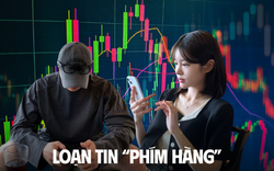 Tình trạng báo động của dân văn phòng khi chứng khoán lên