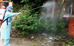 Nguy cơ dịch Chikungunya xâm nhập, chuyên gia chỉ cách phòng chống