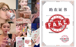 Triệu Lộ Tư “quậy đục nước” truyền thông Trung Quốc với chuỗi drama ăn chặn, làm màu, làm giả con dấu…