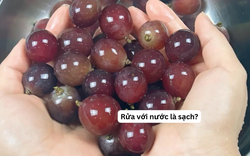 Cách rửa nho khiến trứng sâu trôi sạch, thuốc trừ sâu bay biến như chưa từng tồn tại