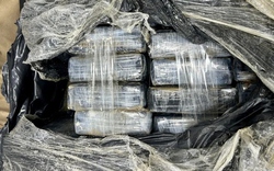 Đi bơi trên biển, người dân vớt được thứ trị giá 39 tỷ đồng