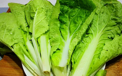 4 loại rau cực hút sâu, dễ bị phun đẫm thuốc trừ sâu, nhưng nhiều người mê tít